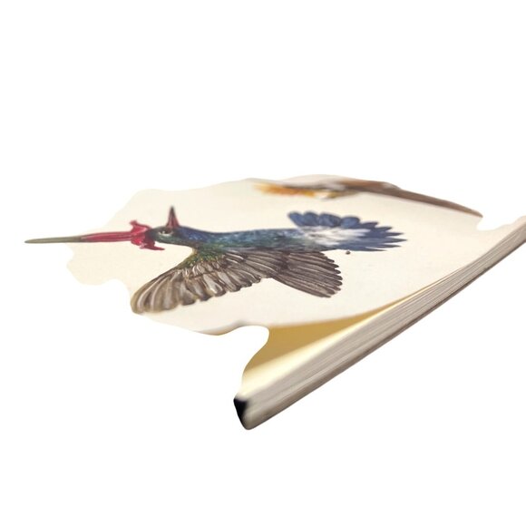 Hester and Cook Hummingbirds Paper Placemats Vicki Sawyer 24 Sheets - Picture 4 of 5